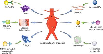 Frontiers Nanoparticle Assisted Diagnosis and Treatment for